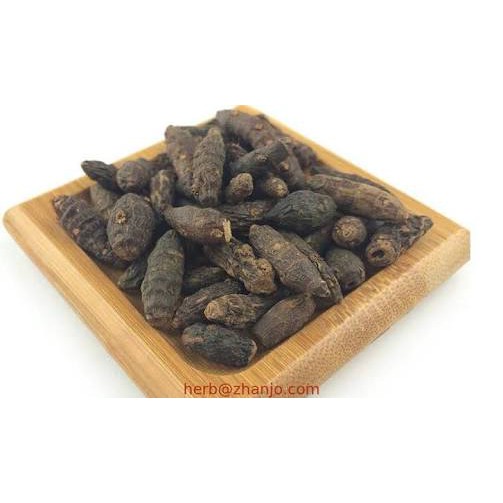 

300 G 600 GR GRAM 香附 XIANG FU UMBI RUMPUT TEKI NUTGRASS GALINGALE RHIZOME CYPERUS TUBER