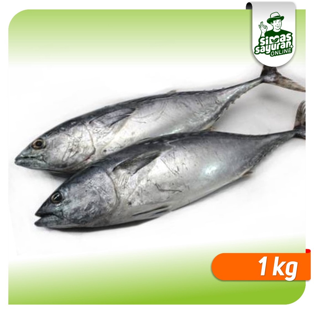 

Ikan Tongkol 1 kg