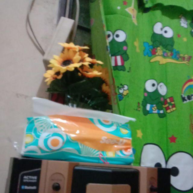 Jual Bibit Alpukat Wina