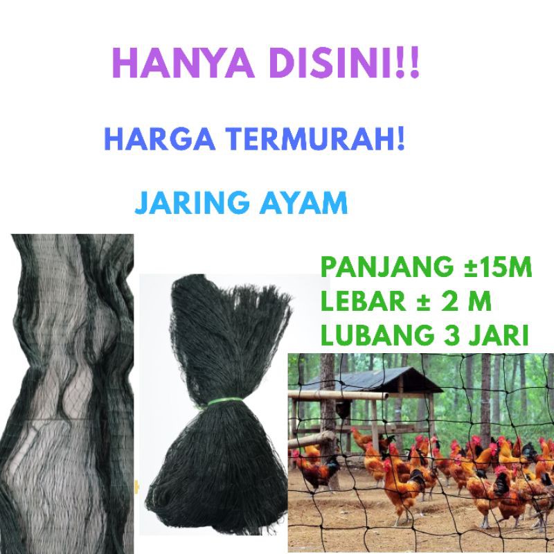 Jaring ayam panjang 15 jaring pagar ayam jaring pagar kebun