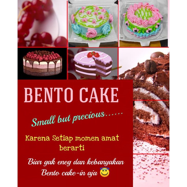 Bento cake / Lunch box cake