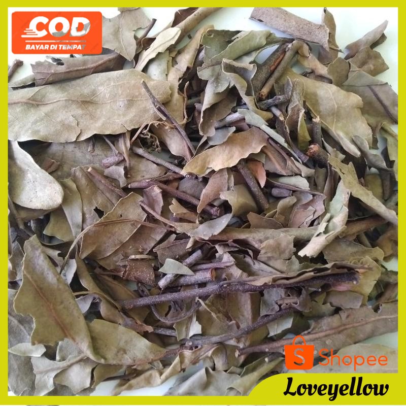 

Benalu Teh Herbal Benalu Teh Asli Dan Murni 100 Kemasan 1kg