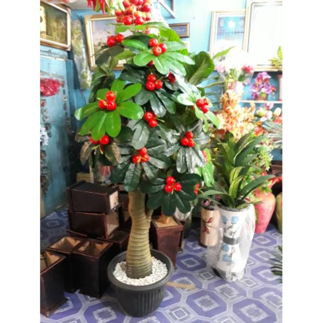 Pohon Besar Daun Tapak Liman Pohon Dekorasi Pot Plastik