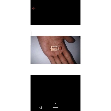 Essen biang durian murni