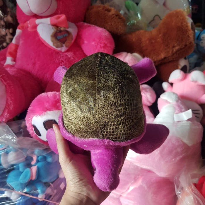 Flash Sale Fto Asli Boneka Bekicot Keong Tutut Penyu Kura Kura Turtle Hijau Ungu Terbaru