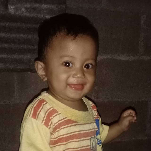 saifi123ponti1alklbari