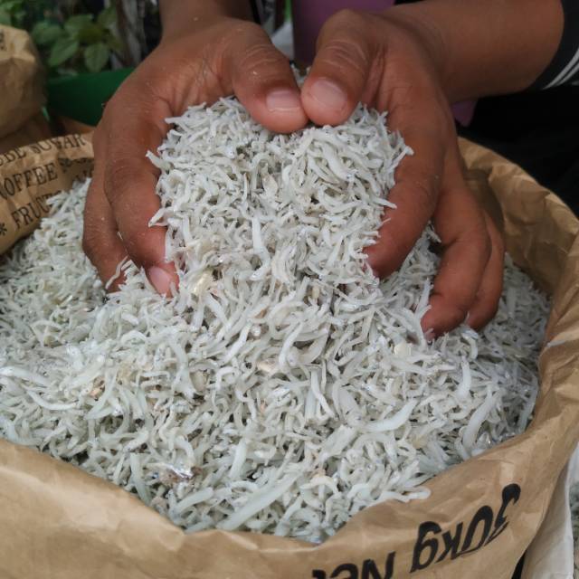 

Ikan teri nasi