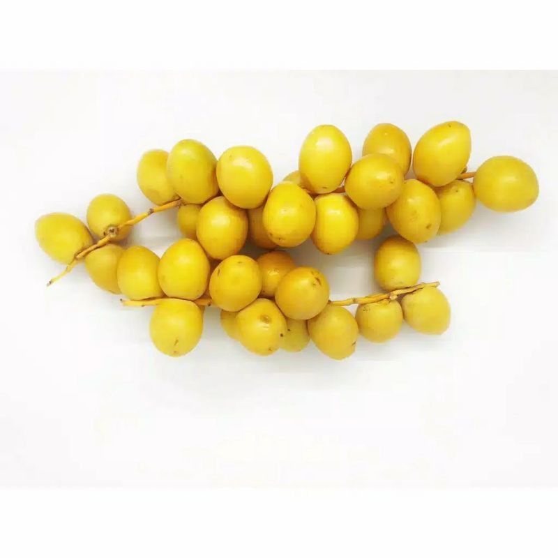 

Kurma muda promil kuning 1kg
