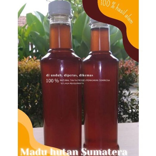 

Madu hutan sumatera (raw honey)