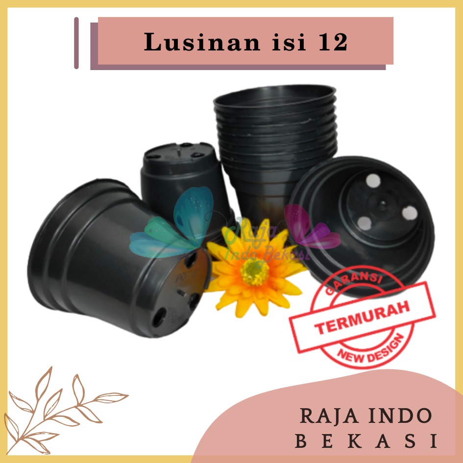 Lusinan Pot 8 Cm Hitam Pot 8cm Plastik Putih Mini Minimalis Kaktus Sukulen Lucu Murah Pot Pembibitan - Lusinan Isi 12pcs