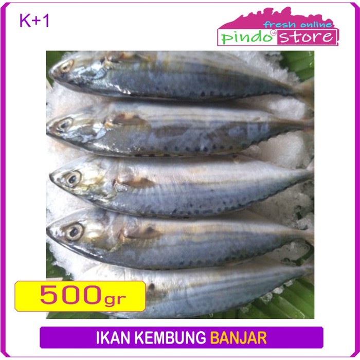 

IKAN KEMBUNG BANJAR SEGAR MURAH DAN BERKUALITAS PILIHAN