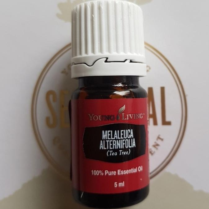 Tea Tree Oil 5Ml Young Living Original Essential Oil 5 Ml Store_Malfoi