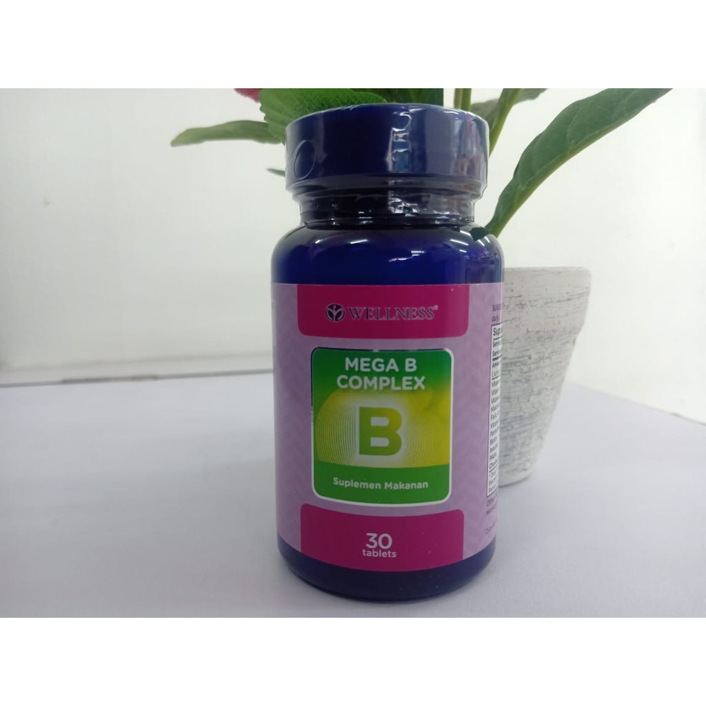 WELLNESS MEGA B COMPLEX @30 / VITAMIN B KOMPLEKS