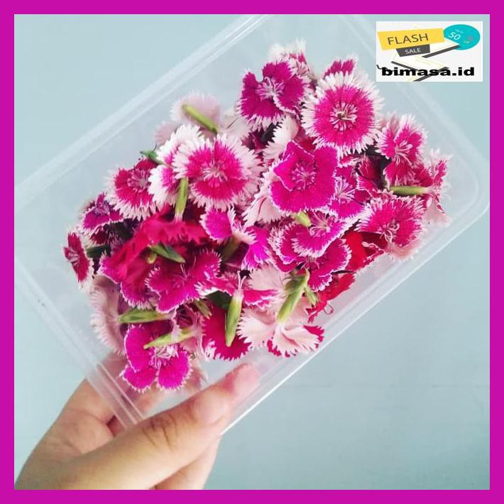 

2Eq35Qr- Mix Edible Flower - Kecil 24 Pcs 7Yi8Yiy8-