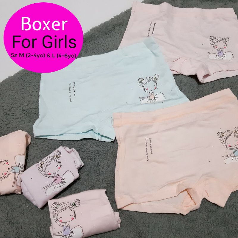 CD anak model Boxer 2-4yo &amp; 4-6yo