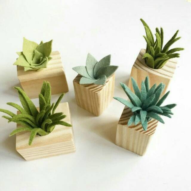  Pot  tanaman kaktus succulent vintage rustic natural 