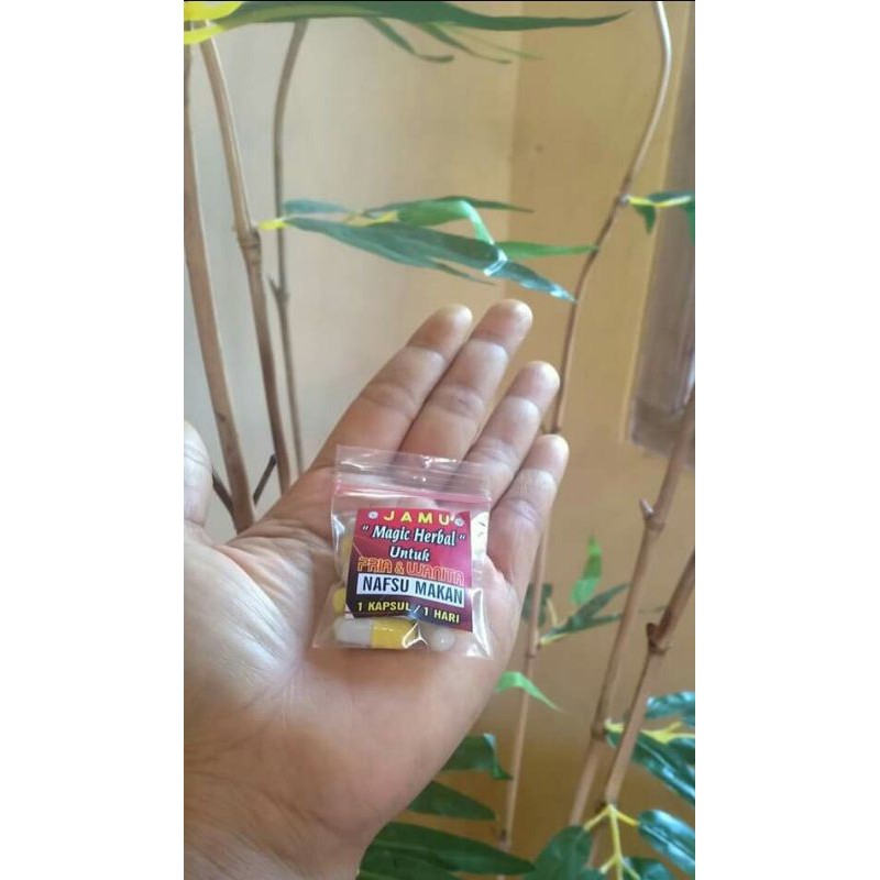 

JAMU NAFSU MAKAN HERBAL