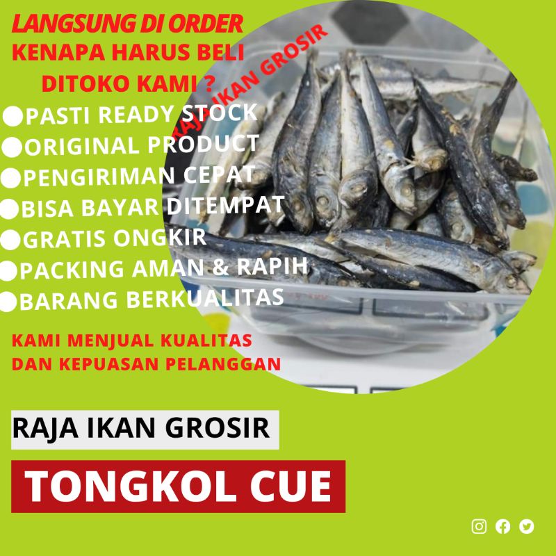 

IKAN ASIN TONGKOL REBUS 500 GRAM