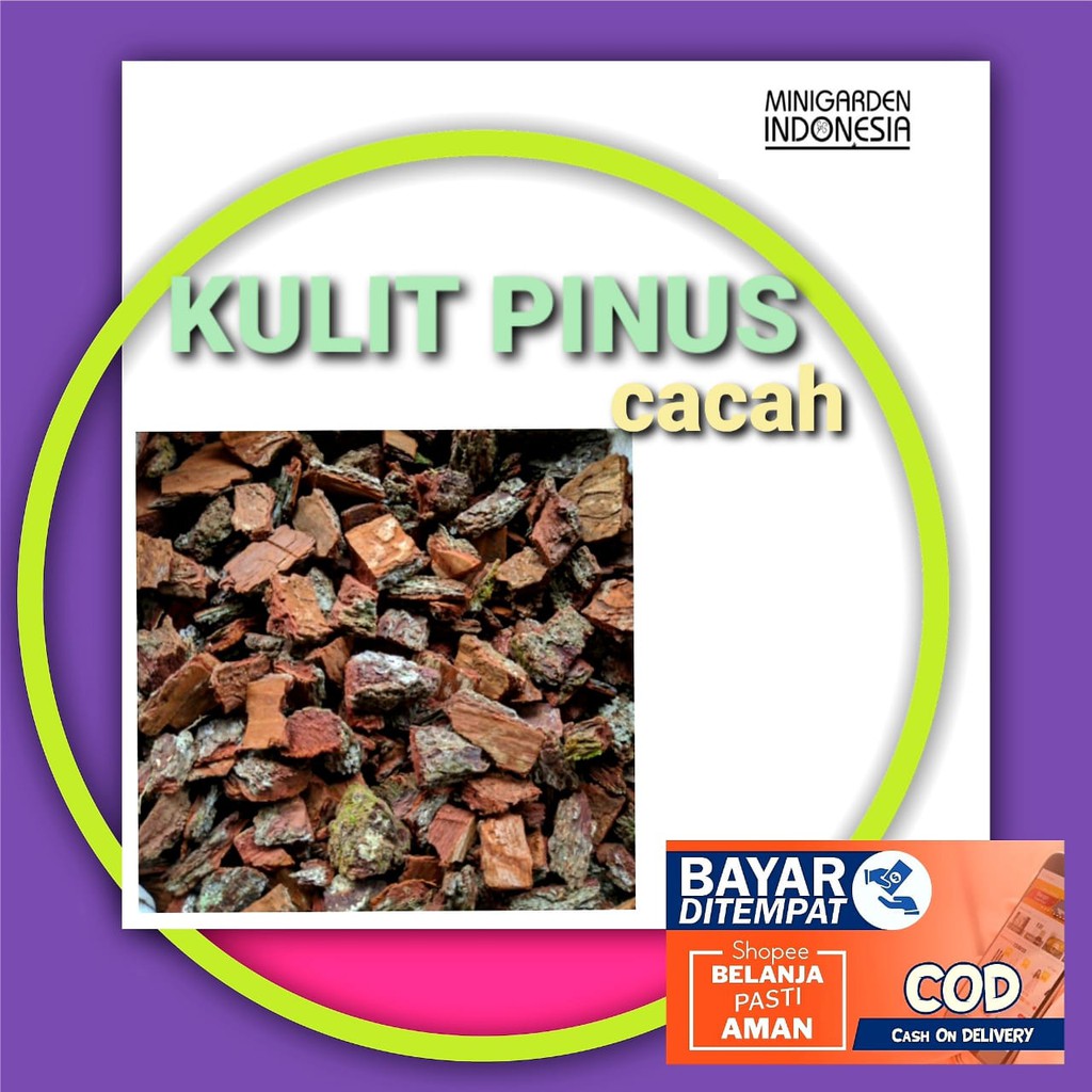 KULIT PINUS CACAH pinebark media tanam tanaman hias anggrek orchid pine bark batang kulit kayu pinus