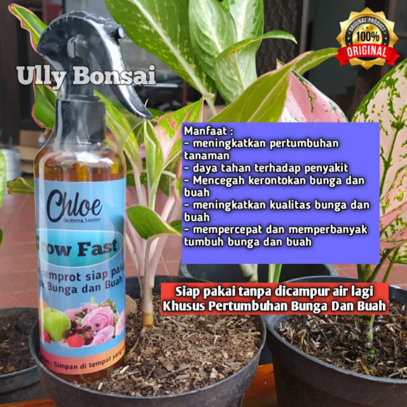 Grow Fast Pupuk Untuk Bunga Dan Buah Siap Pakai 250ml