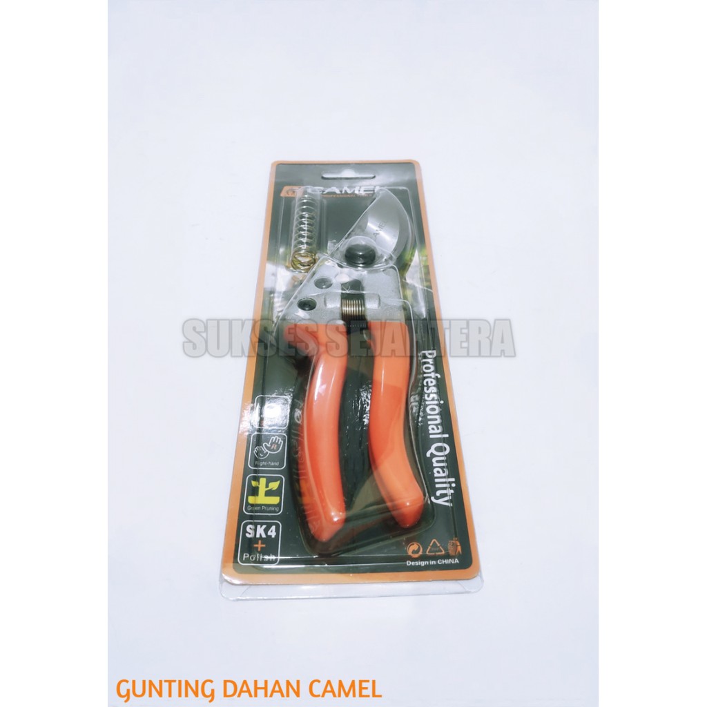 GUNTING DAHAN CAMEL