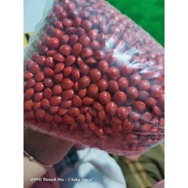 Biji Saga 1kg Murni Obat Multifungsi Manis