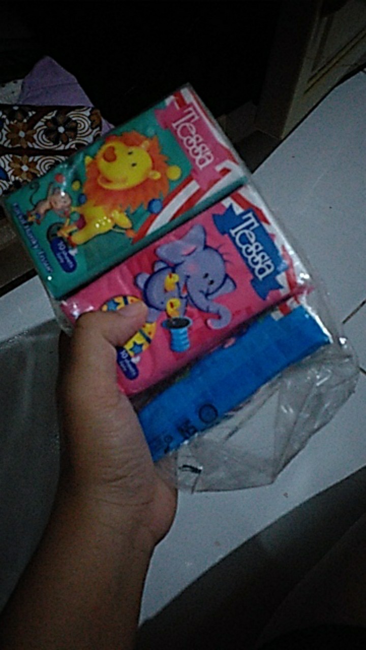 Takashi Tissue Tessa Pocket 12 Ply