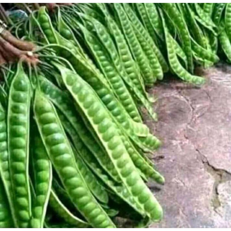 

Pete tua super sortiran