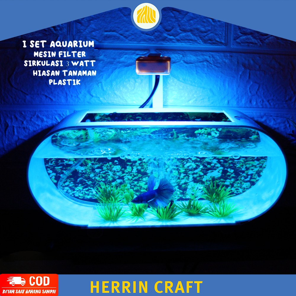 Aquarium Mini Cupang Kaca Cantik Lucu Dinding Akrilik Lengkap Lampu Led Dan Aerator Dan Air Mancur P