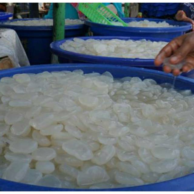 

Kolangkaling 500gram buah muda dan segar