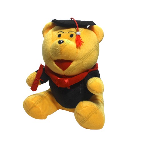 Boneka Maskot Wisuda