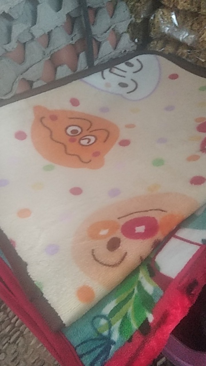 Rc Keset Printing Rosanna/batik/bunga Ukuran 40x60cm