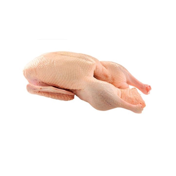 

Entok +/- 1,4 kg (1 ekor)