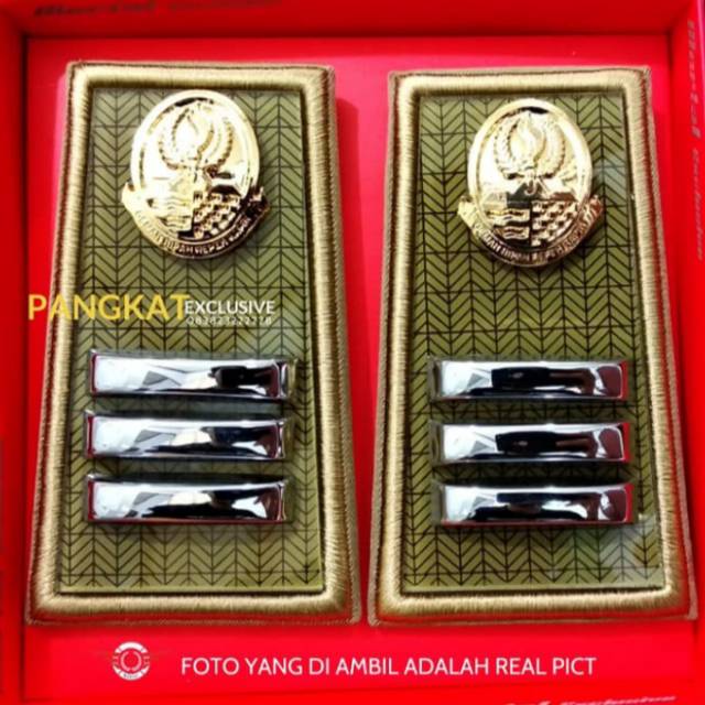 

Pangkat ASN JABAR Golongan 2A. 2B. 2C. 2D