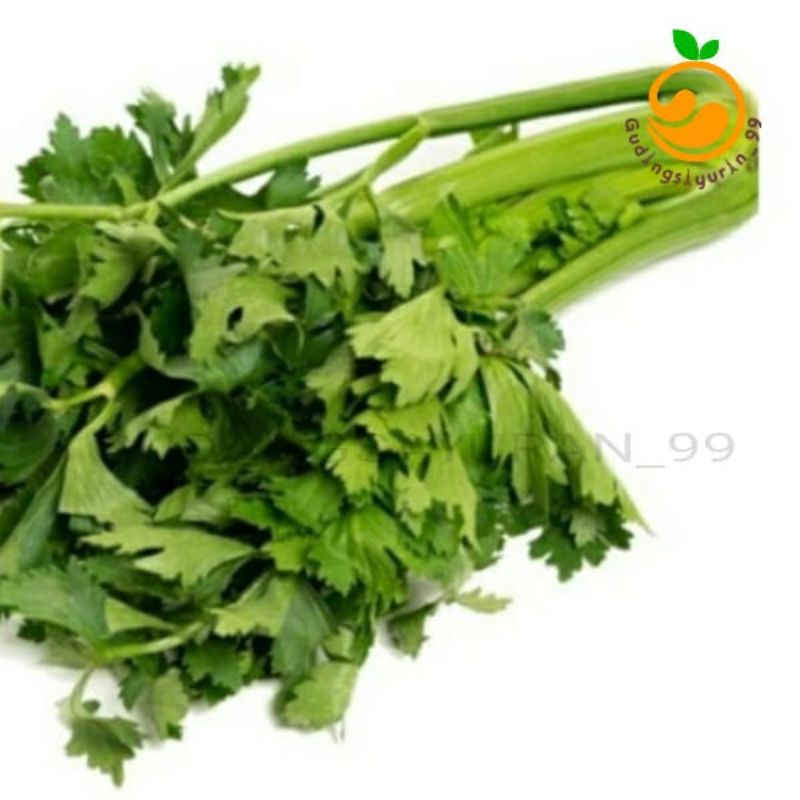 

Seledri stick 500 gram