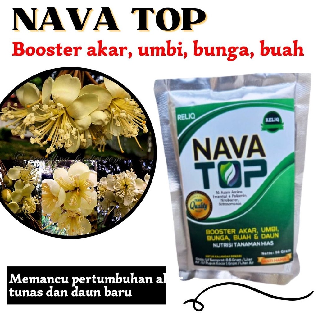 Pupuk Durian Untuk Mengurangi Kerontokan Bunga Durian, Asam Amino Nava Top 50 GR