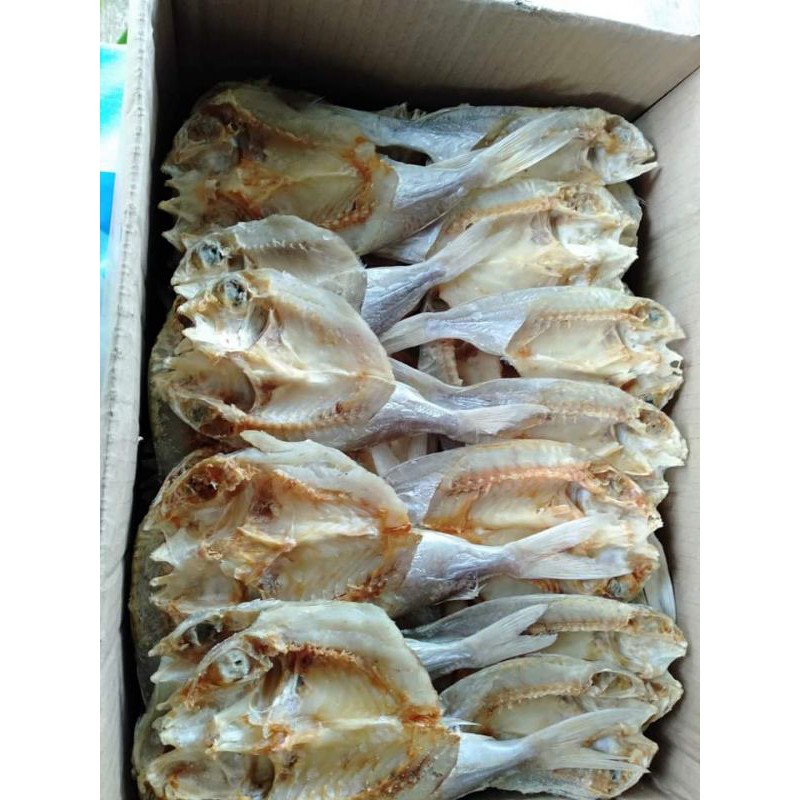 

Ikan Asin Sumbo / mata Besar