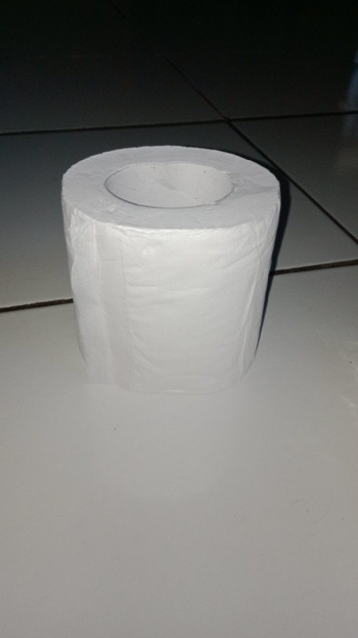 Tissue Livi Smart Due Toilet 205s