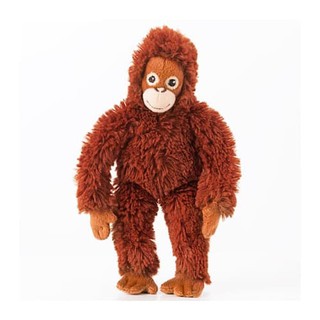 910+ Gambar Hewan Monyet Lucu HD Terbaru