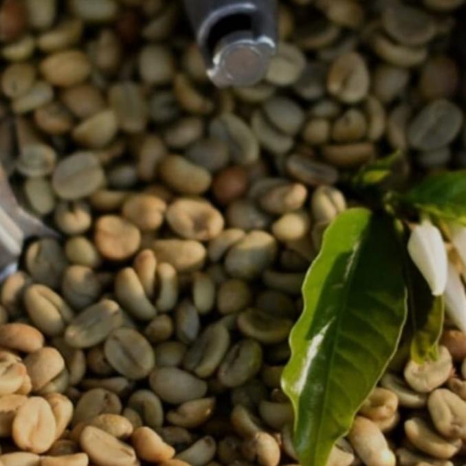 

green bean black honey malabar