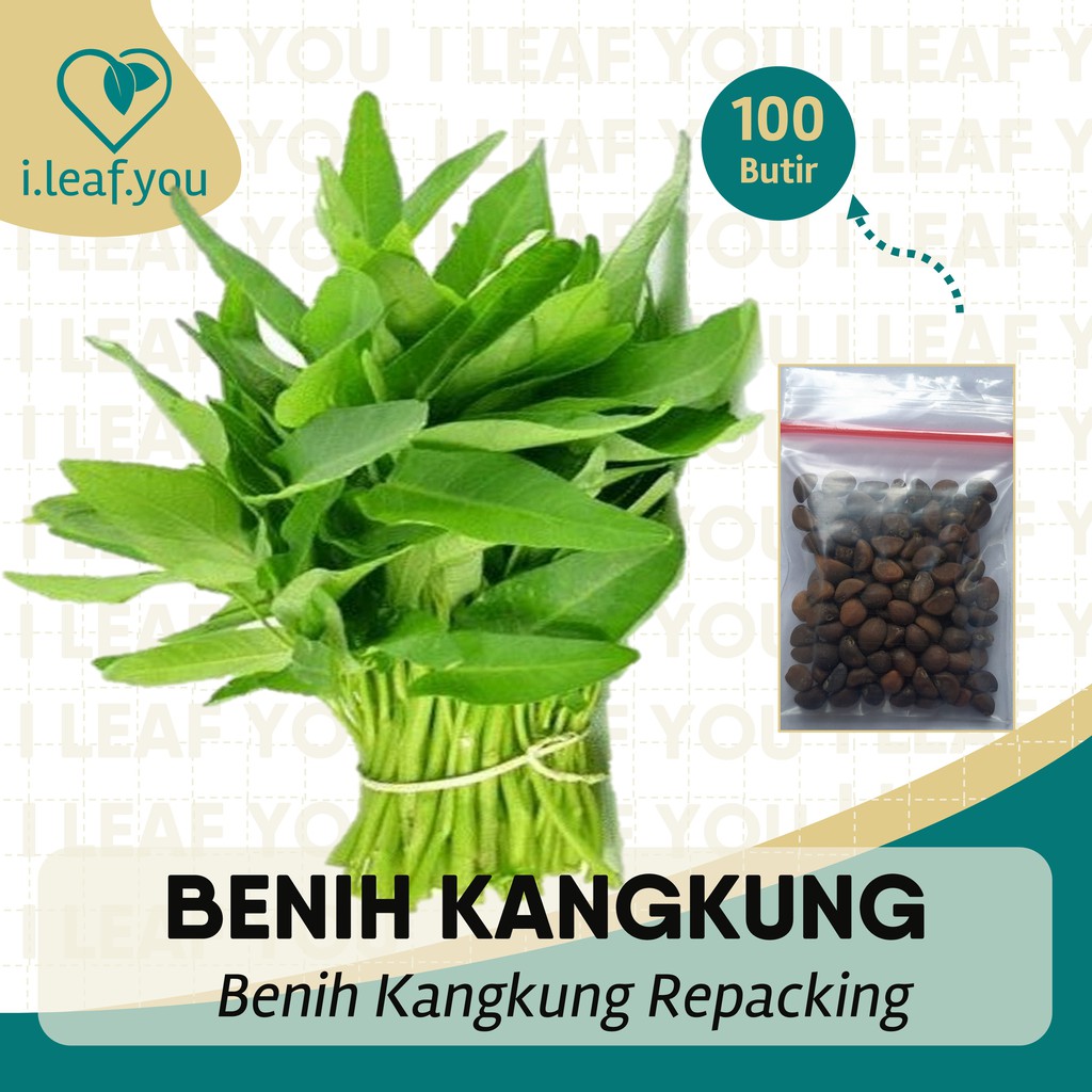 Benih Kangkung Benih Kangkung Darat Berkualitas Kangkung Benih Serba Seribu
