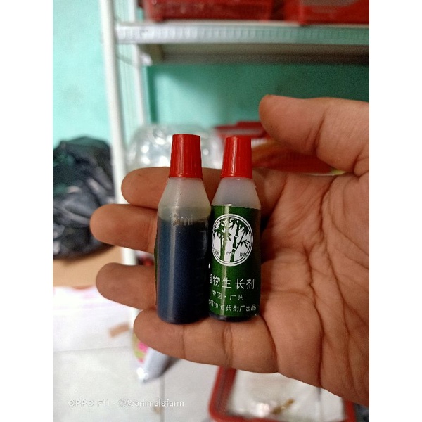 Jual Pupuk Organik Cair Poc Zpt Cap Bambu Ijo Ml Shopee Indonesia