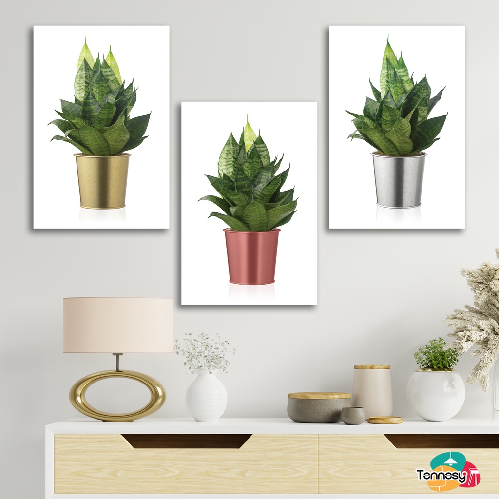 TENNESY HIASAN DINDING TANAMAN BUNGA BOTANICAL SANSEVIERA 20x30CM WALL DECOR PAJANGAN KAYU POSTER DEKORASI DINDING KAMAR RUMAH