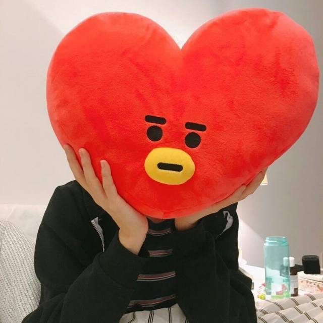 UNNOFFICIAL BONEKA BT21 TATA