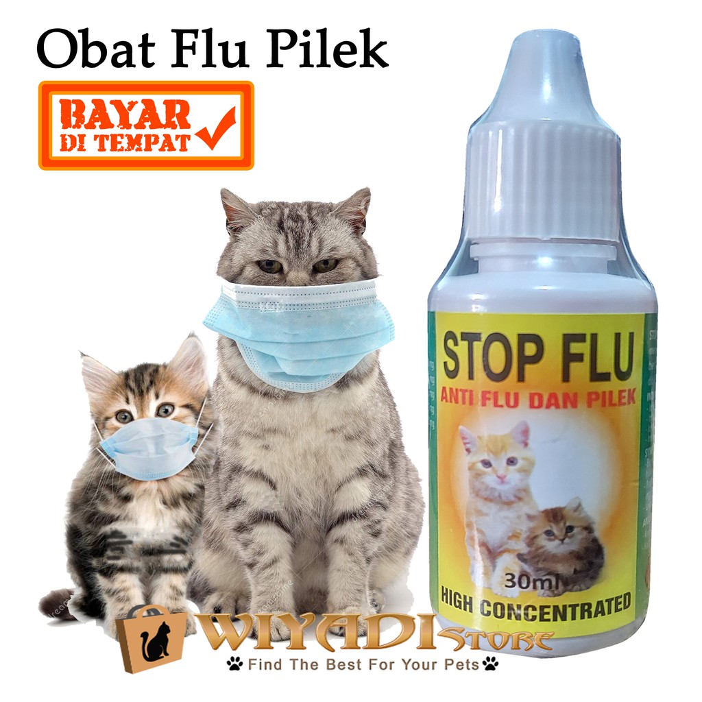 Stop Flu for Cat 30Ml - Obat Flu Pilek Ingusan Meler Bersin Untuk Kucing