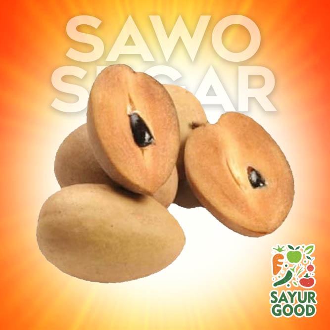 

Sawo / Buah Sawo Segar / Sawo Manis / 1 Kg (Buah Segar)