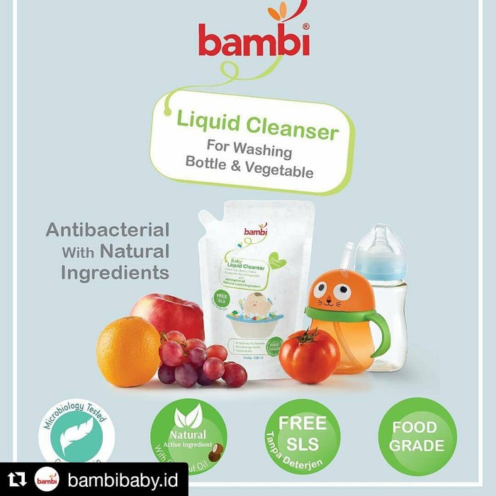 Bambi Liquid Cleanser refill 450 ml pembersih botol bayi refill