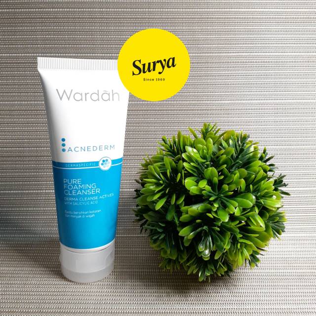 Wardah Acnederm Pore Foaming Cleanser 60ml