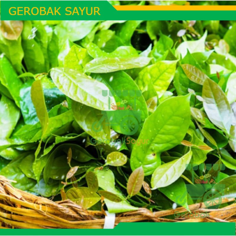 

Daun Melinjo 250 g