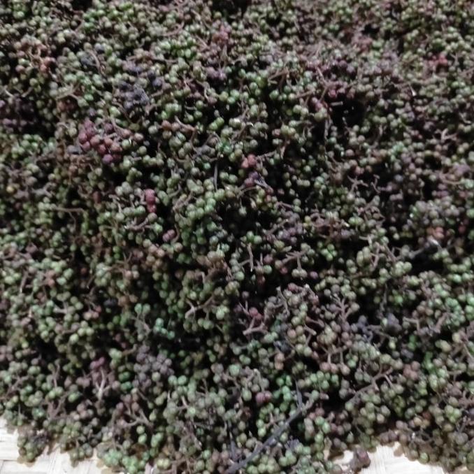 

BIG SALE ANDALIMAN/TUBA 1KG PENGIRIMAN CEPAT